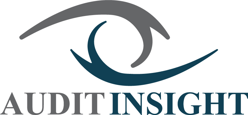  Introducing Audit Insight: The Future of Real-Time Auditing 